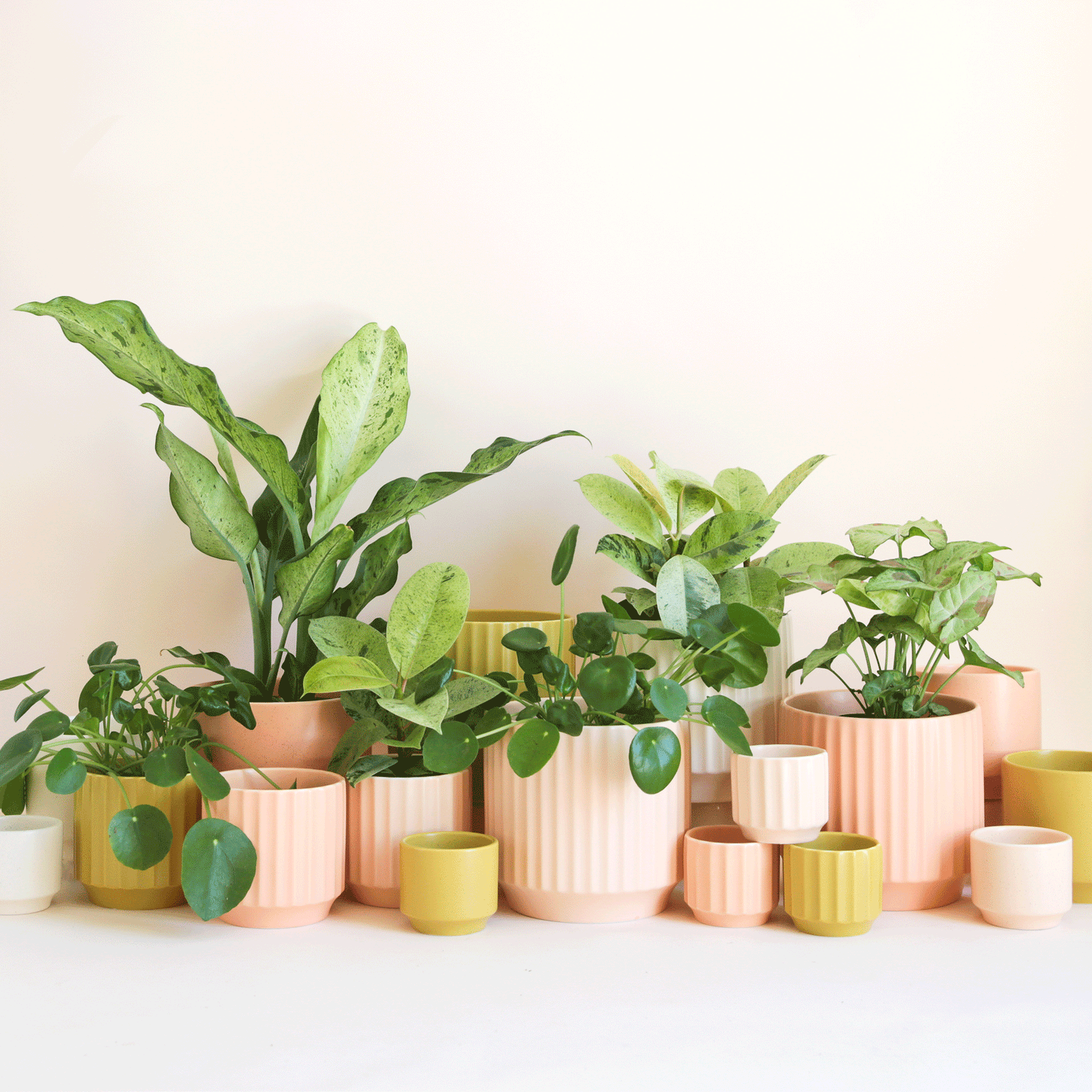 Charlie Planter | White