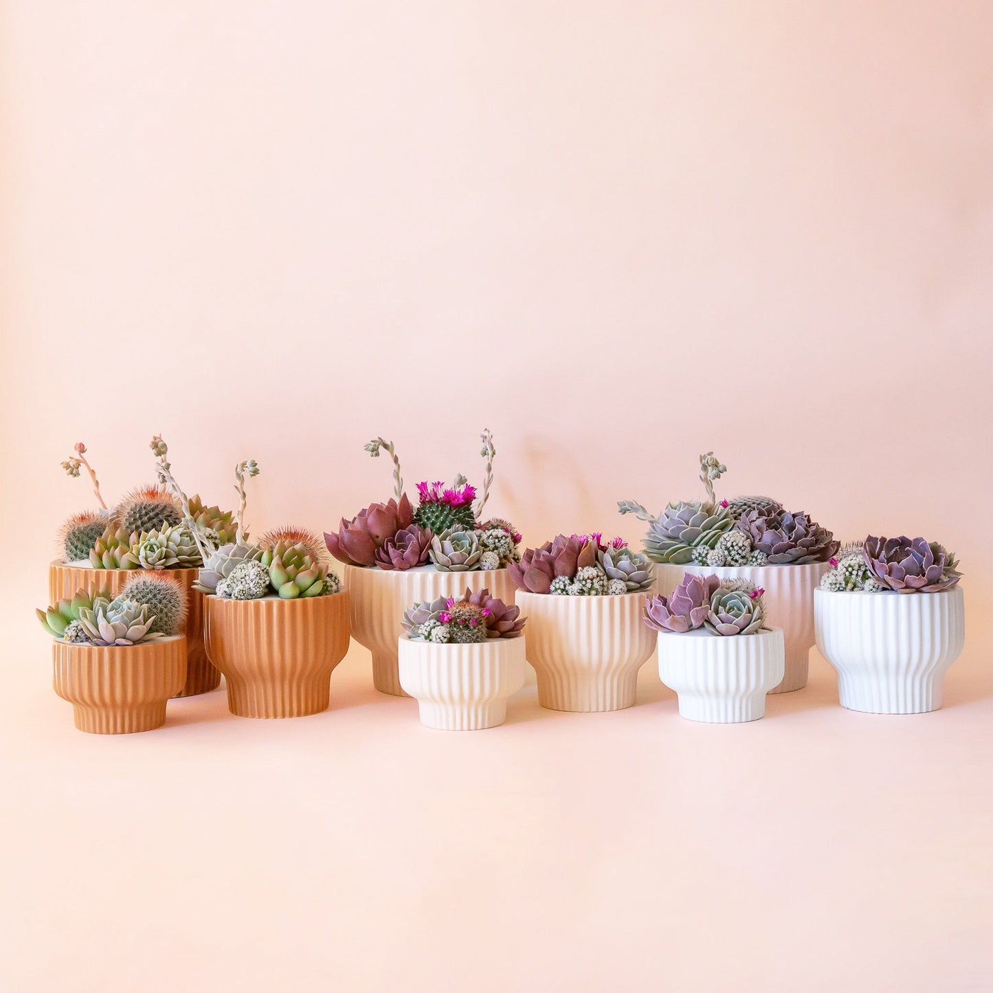 Presley Pedestal Planter | Ballerina