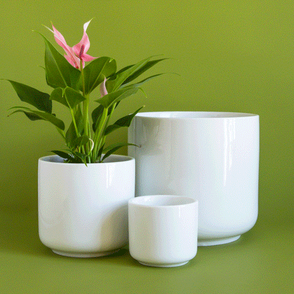 Charlie Planter | White
