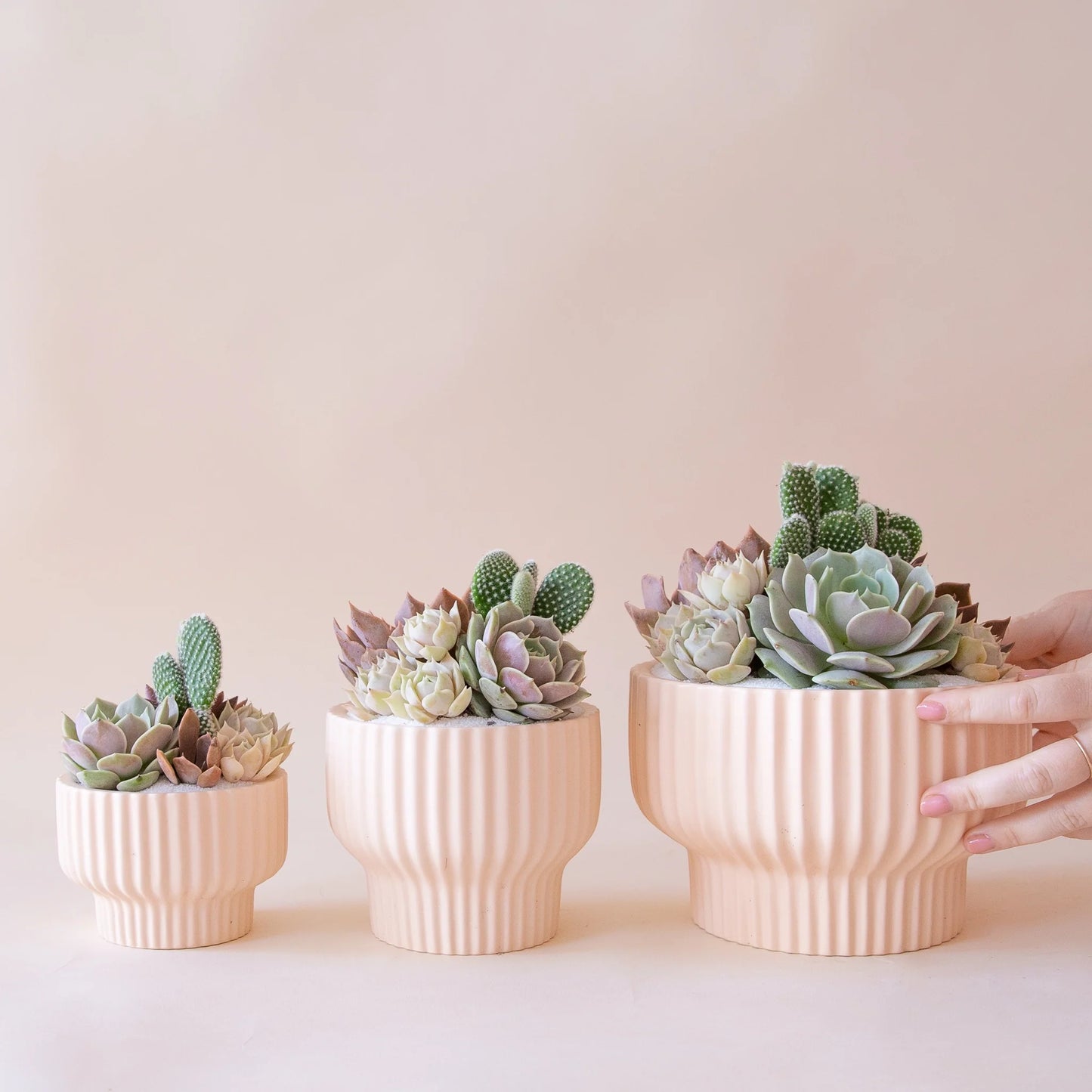 Presley Pedestal Planter | Ballerina