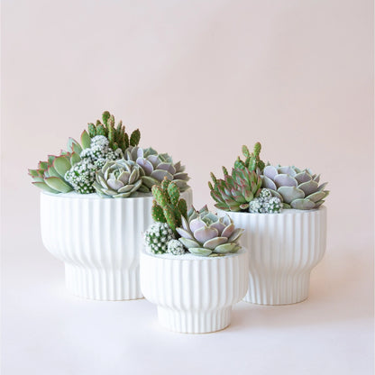 Presley Pedestal Planter | White