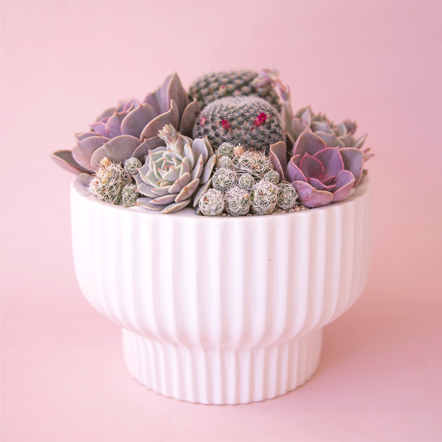 Presley Pedestal Planter | White