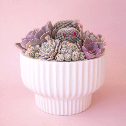 Presley Pedestal Planter | White