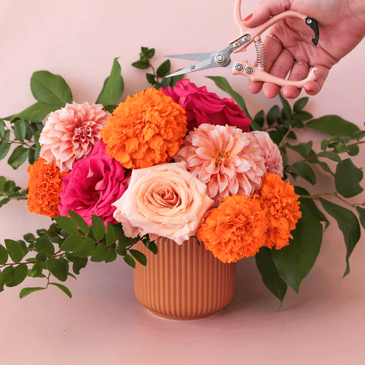 Lucy Planter | Ginger