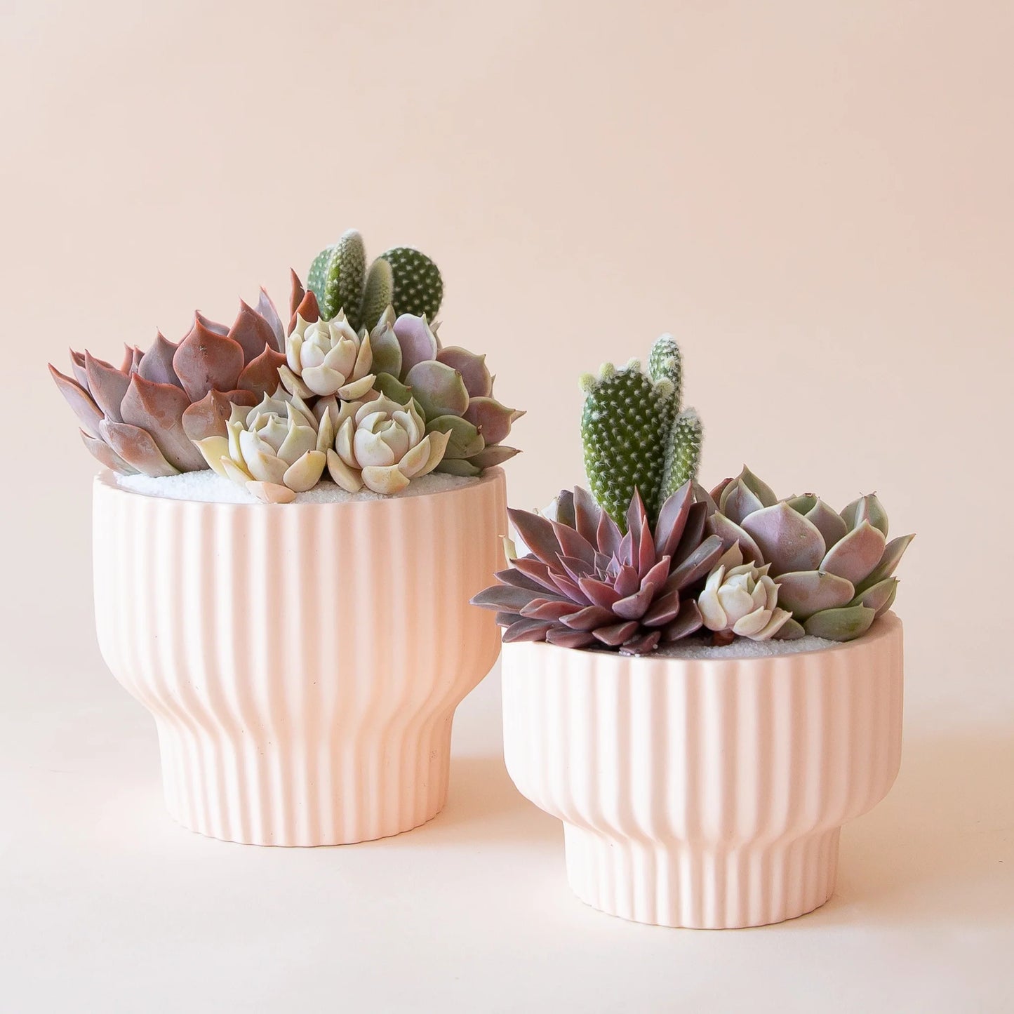 Presley Pedestal Planter | Ballerina