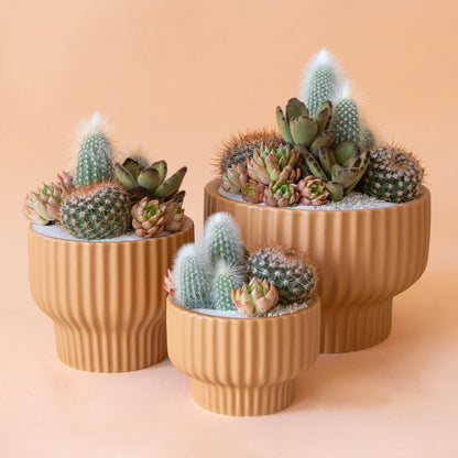 Presley Vase | Ginger