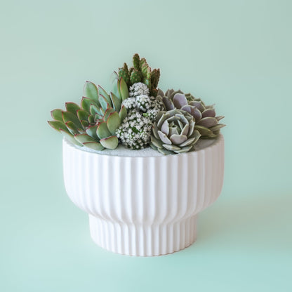 Presley Pedestal Planter | White